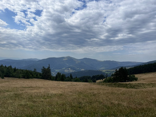 Plongez dans l'enchantement des Mégalithes du Steinberg !