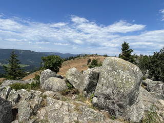 Plongez dans l'enchantement des Mégalithes du Steinberg !