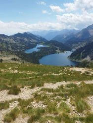 Aubert la revanche ?