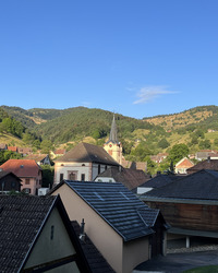 Découvrez la magie matinale de la nature