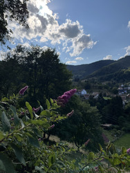 Nouvelles de la vallée ??