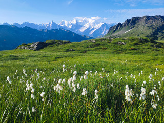 Tour du Massif des Aiguilles Rouges en boucle de 4 jours ⛰️☀️? 