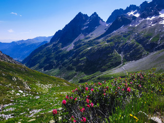 Tour du Massif des Aiguilles Rouges en boucle de 4 jours ⛰️☀️? 
