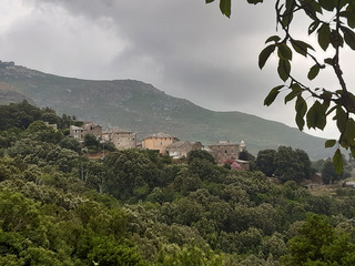 Terrain rebelle