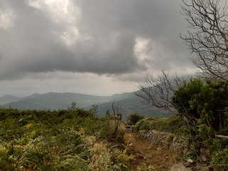 Terrain rebelle