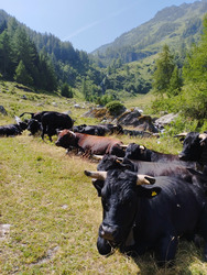 Vallon de Rechy, un bout de paradis 