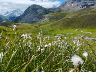 Une vue assez exceptionnelle ?
