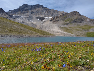 Une vue assez exceptionnelle ?