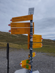 Une vue assez exceptionnelle ?