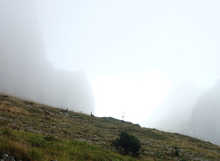 Un air de steppe sur les plateaux du Vercors