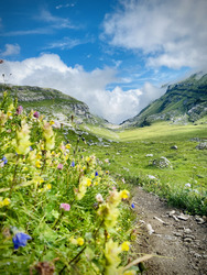 Tour des Fiz (5 refuges) 