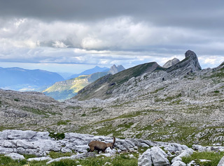 Bivouac en haut lieu vertacomicorien - Jour 1