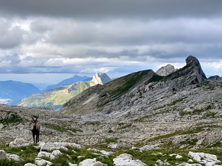 Bivouac en haut lieu vertacomicorien - Jour 1