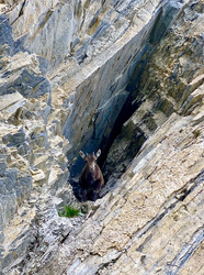 Bivouac au dessus de Roselend, brèche Parozan et refuge de Presset 