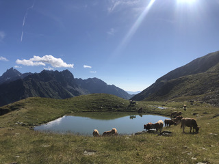 Nuit dépaysante entre le lac du Venetier et la cime de la Jasse!