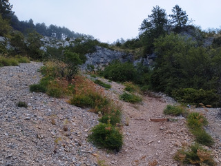 Belvédère du Tarn à St Enimie 