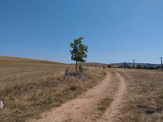 Causse Mejean