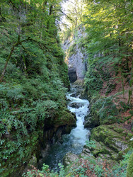 Les gorges de Langouette (Jura)