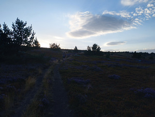 Coucher de soleil au Mont Lozère 