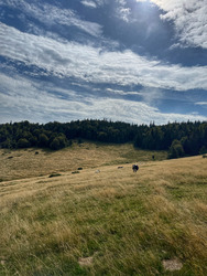Retour aux basiques, Endurance Trail