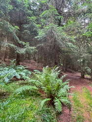 Retour aux basiques, Endurance Trail