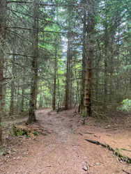 Retour aux basiques, Endurance Trail
