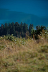 Vibrations automnales @Areches Beaufort