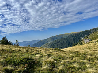 Du côté du Hohneck !