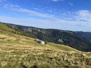 Du côté du Hohneck !