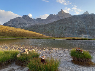 Lacs de Roure