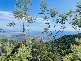 Massif de l’Esterel - Dent et Pic de L’ours