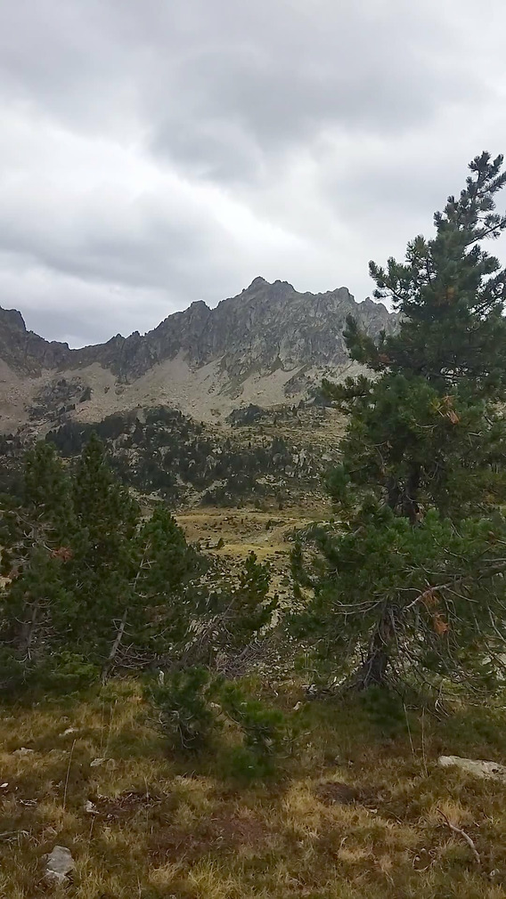 Ballade ventée 