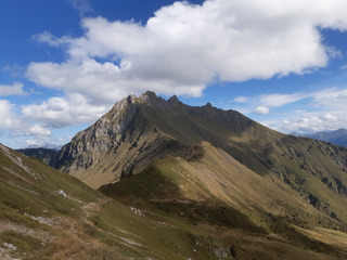 Face à l'inepte "Espace des lys"...