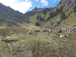 Face à l'inepte "Espace des lys"...
