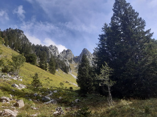 Face à l'inepte "Espace des lys"...
