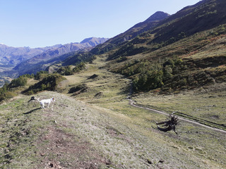 Balcons du Val Ferret