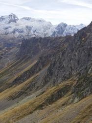 Première neiges et la forêt enchantée 