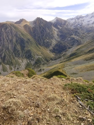 Première neiges et la forêt enchantée 