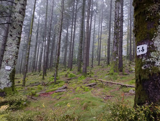 Je vois la vie en Vosges... Bref on n'y voit rien 🤣