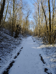 La magie de l'hiver