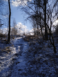 La magie de l'hiver