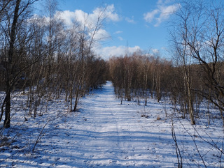 La magie de l'hiver