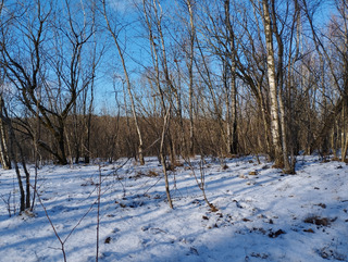 La magie de l'hiver
