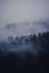 Brumes d'automne 