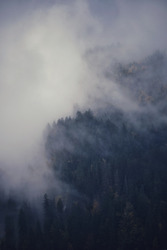 Brumes d'automne 
