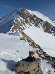 Rando/alpi en neige dure