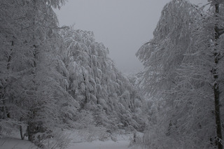 Blanc Vercors ! un parcours en raquette