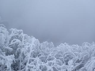Blanc Vercors ! un parcours en raquette