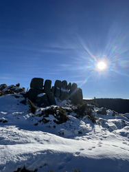 Winter Garden