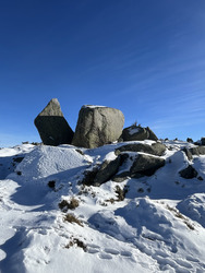 Winter Garden